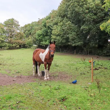 Mrs Delaney's Loft דירה