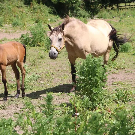 Mrs Delaney's Loft 아파트 *