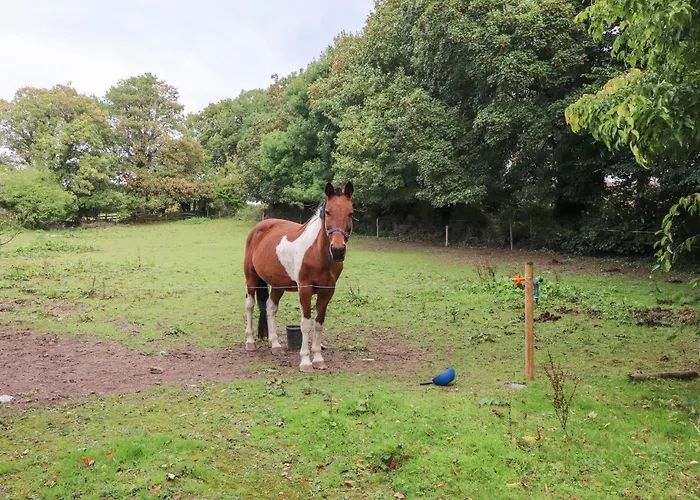 Mrs Delaney's Loft Lejlighed
