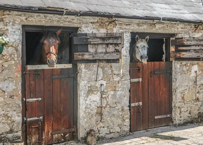Lejlighed Mrs Delaney's Loft *